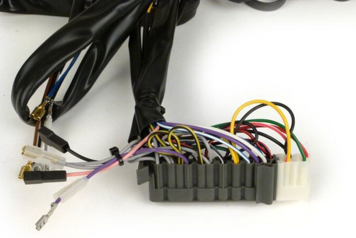 Kabelbaum PX Lusso mit Batterie ohne Gleichrichter 2